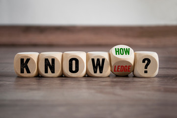 家中放什么花最旺宅（盘点九种旺财又旺宅的植物）