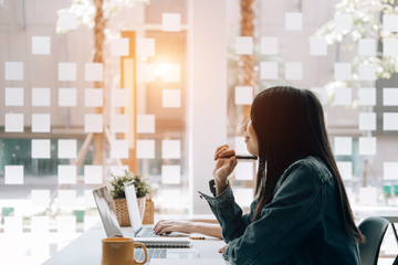 家中放什么花最旺宅（盘点九种旺财又旺宅的植物）