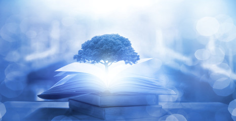 家中放什么花最旺宅（盘点九种旺财又旺宅的植物）