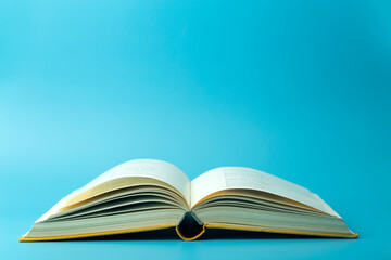 家中放什么花最旺宅（盘点九种旺财又旺宅的植物）