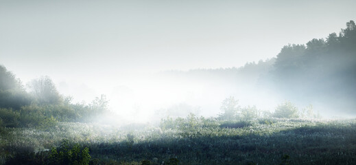 bbc纪录片在哪看免费