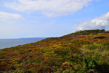 bbc纪录片在哪看免费