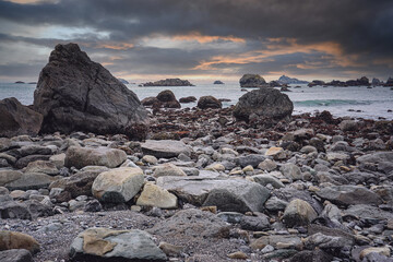 初中必读的经典科普读物