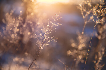 中央一台电视台节目表