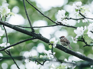 bbc纪录片在哪看免费