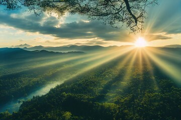 花卉是什么意思