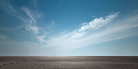 大型猫科动物有哪些