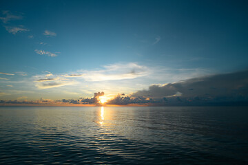 大型猫科动物有哪些