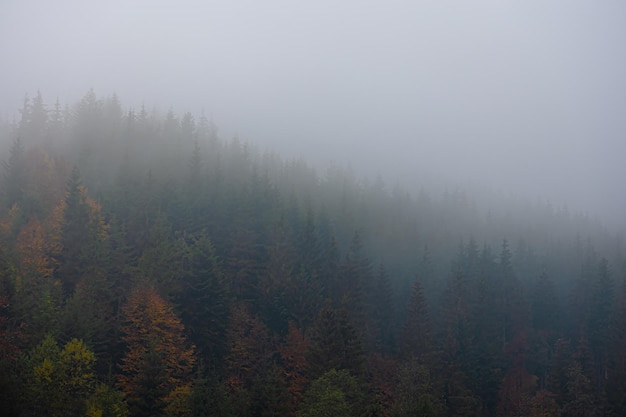 中央一台电视台节目表