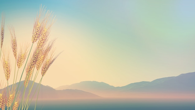 现代诗歌精选（二十篇）