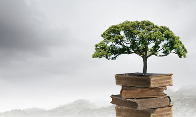 中央一台电视台节目表