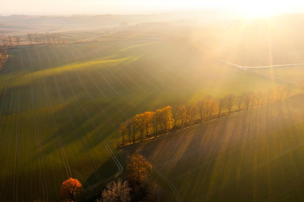 保护环境手抄报简单好看精选