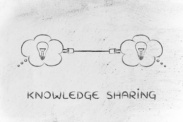 家中放什么花最旺宅（盘点九种旺财又旺宅的植物）