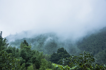 卫健委十八项核心制度